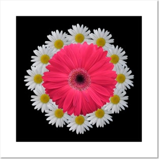 gerbera flowers daisies gerberas daisy flowery bloom floral Posters and Art